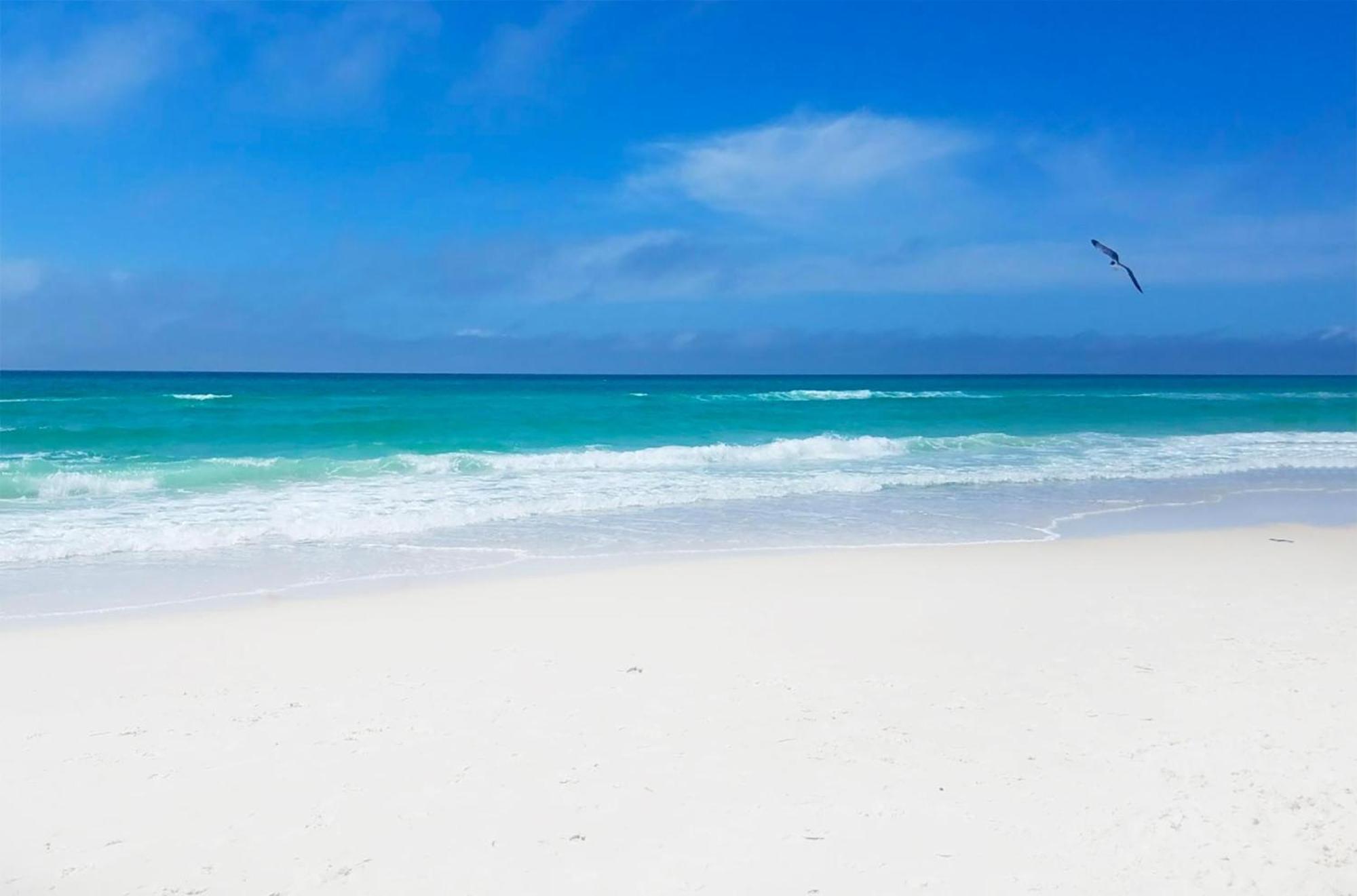 Laguna Beach Breeze Panama City Beach Zewnętrze zdjęcie